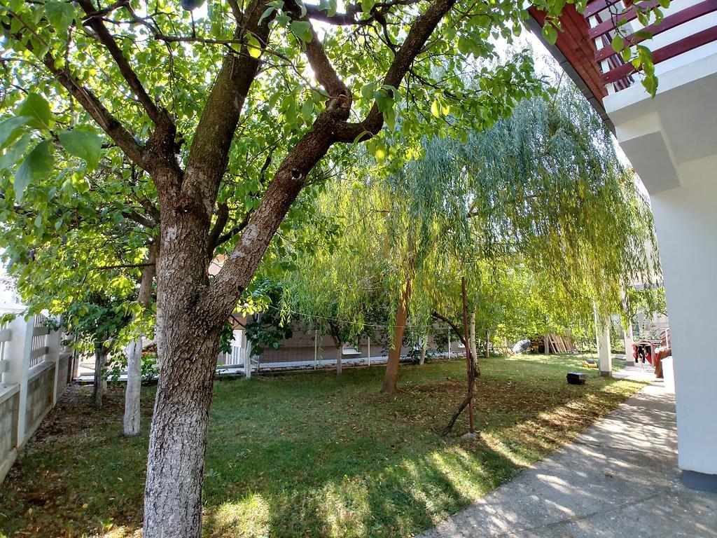 Forest Apartment Nikšić 외부 사진
